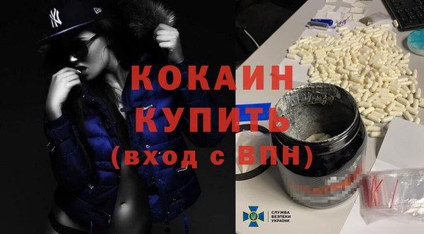 шишки Белоозёрский