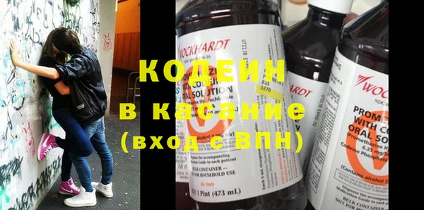 шишки Белоозёрский