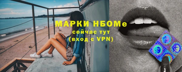 шишки Белоозёрский
