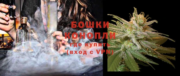 шишки Белоозёрский