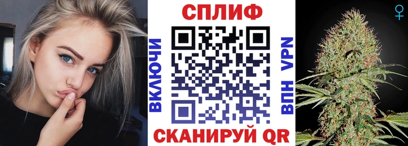 Конопля конопля  Кола 